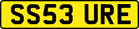 SS53URE
