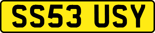 SS53USY
