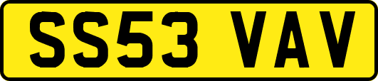SS53VAV