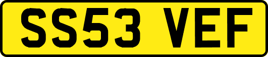 SS53VEF