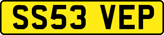 SS53VEP