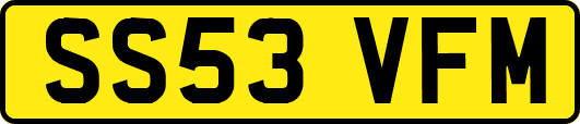 SS53VFM