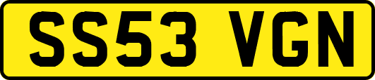 SS53VGN