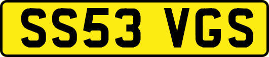 SS53VGS