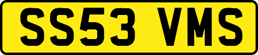SS53VMS