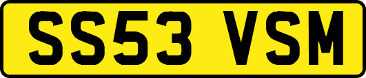 SS53VSM