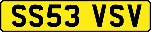 SS53VSV