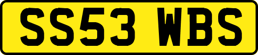 SS53WBS