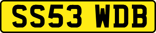 SS53WDB
