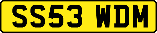 SS53WDM