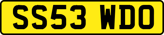 SS53WDO
