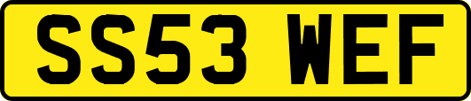 SS53WEF