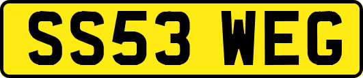 SS53WEG