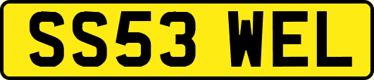 SS53WEL