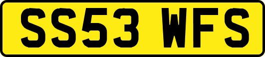 SS53WFS