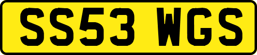 SS53WGS