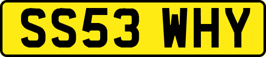SS53WHY