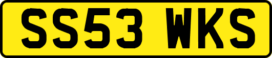 SS53WKS