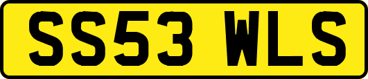 SS53WLS