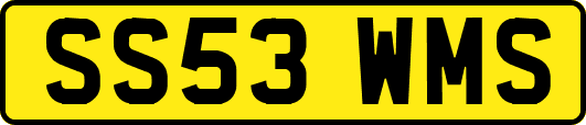 SS53WMS