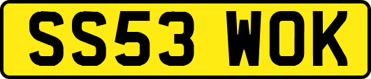 SS53WOK