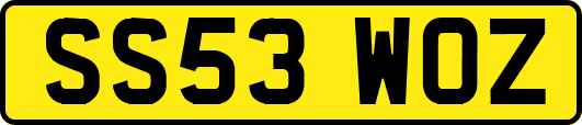 SS53WOZ
