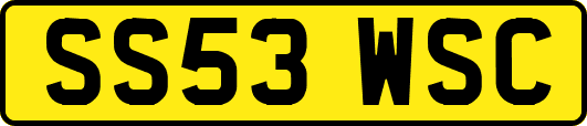 SS53WSC