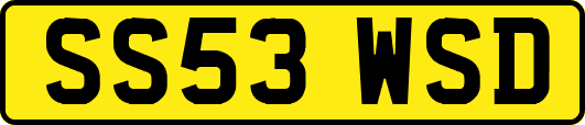 SS53WSD