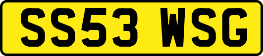 SS53WSG