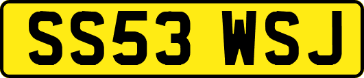 SS53WSJ