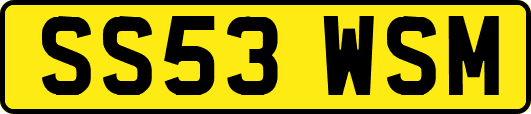 SS53WSM