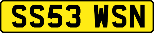 SS53WSN