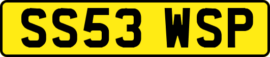 SS53WSP