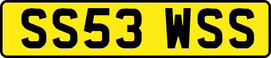 SS53WSS