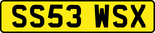 SS53WSX