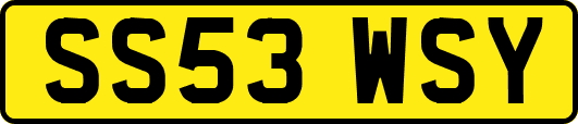 SS53WSY