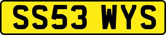 SS53WYS