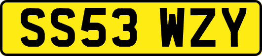 SS53WZY