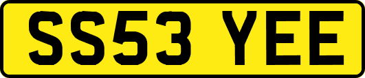 SS53YEE