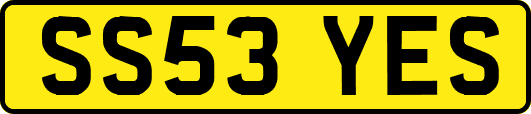 SS53YES