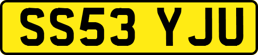 SS53YJU