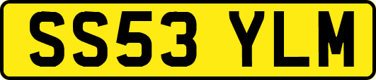 SS53YLM
