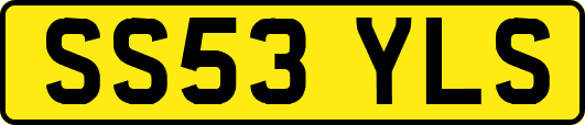 SS53YLS