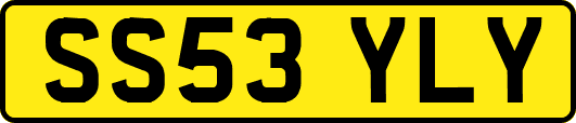 SS53YLY