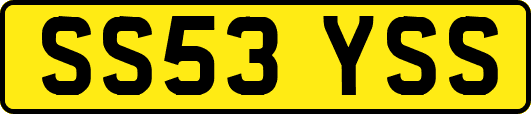 SS53YSS