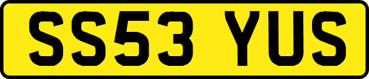 SS53YUS