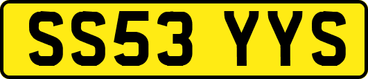 SS53YYS
