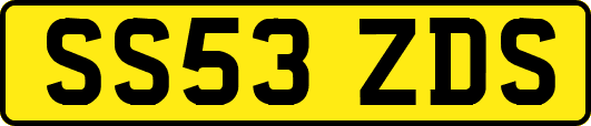 SS53ZDS