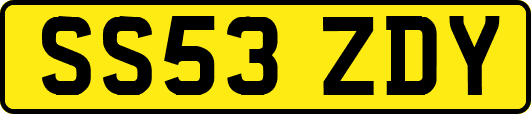 SS53ZDY