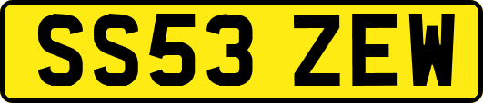 SS53ZEW